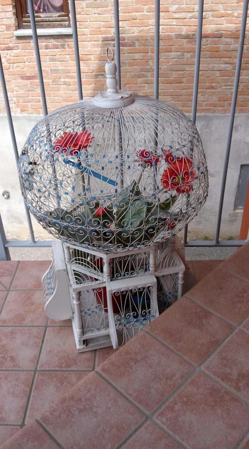 CastellinaldoCasa Carolina住宿加早餐旅馆 外观 照片