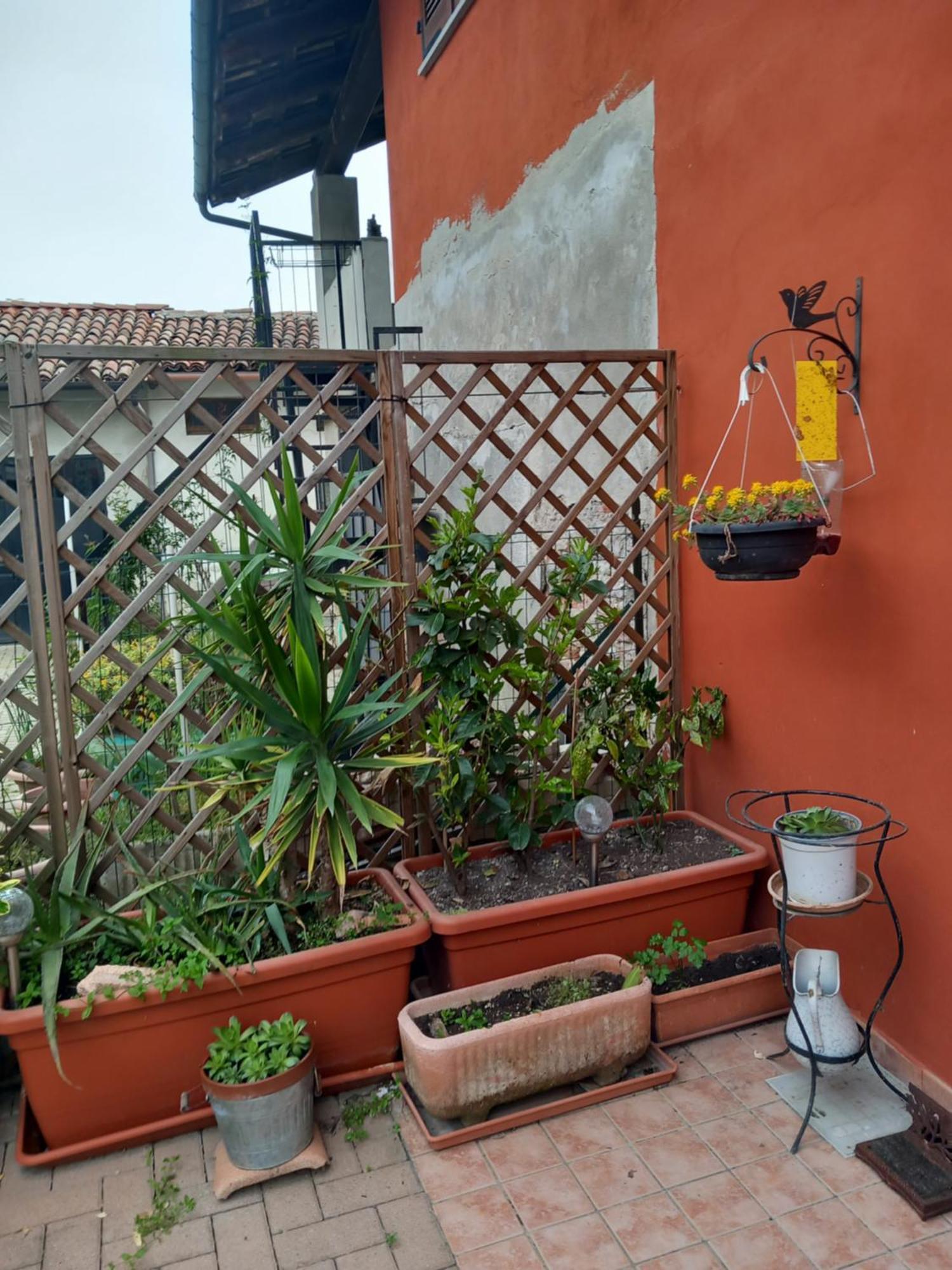 CastellinaldoCasa Carolina住宿加早餐旅馆 外观 照片